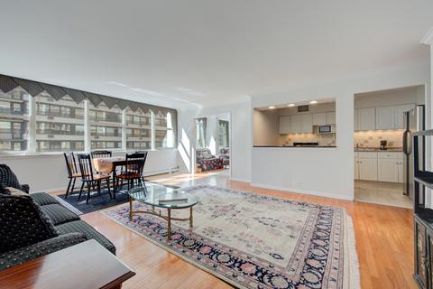 40 E Cedar St #12C, Chicago, IL 60611 photo 9