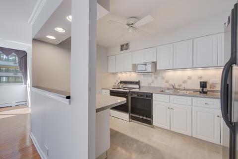40 E Cedar St #12C, Chicago, IL 60611 photo 4