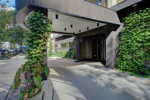 40 E Cedar St #12C, Chicago, IL 60611 photo 30