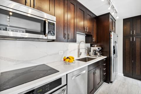 71 E Division St #1102, Chicago, IL 60610 photo 6