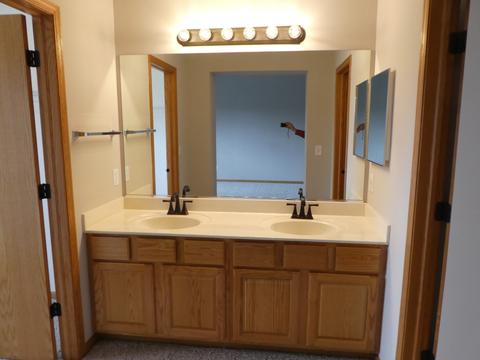 21755 Ivanhoe Trl, Plainfield, IL 60544 photo 16