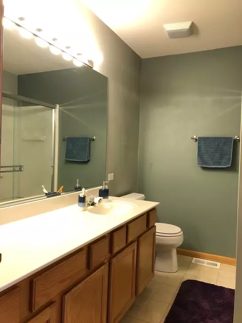 1090 Delta Dr, Elgin, IL 60123 photo 19