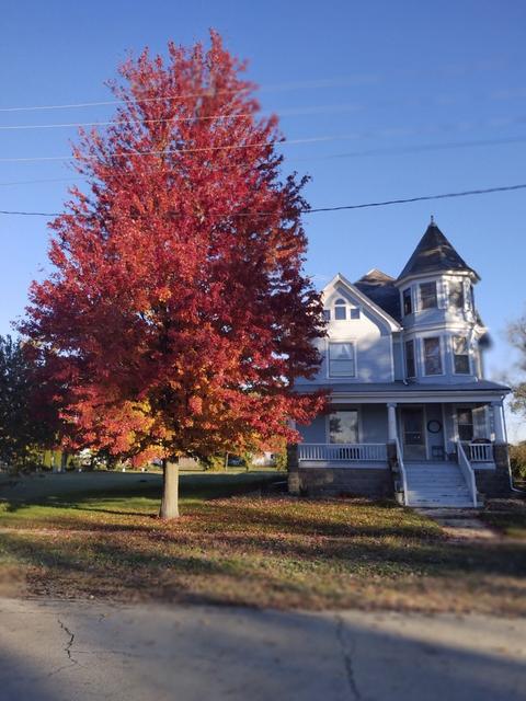 111 W Lincoln St, Reddick, IL 60961 photo 32