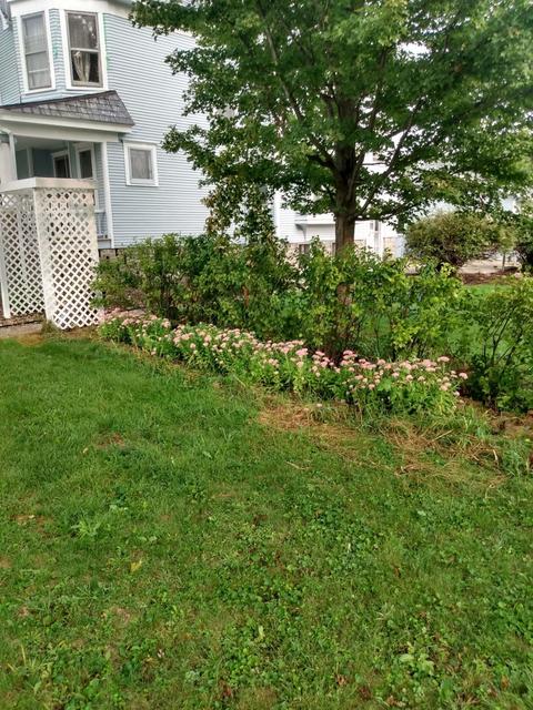 111 W Lincoln St, Reddick, IL 60961 photo 35