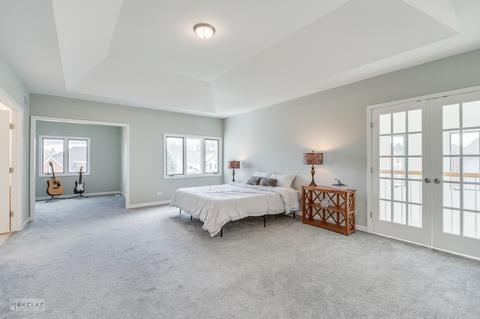 2204 Joyce Ln, Naperville, IL 60564 photo 23
