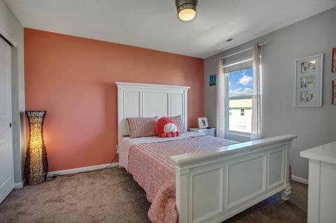 4323 Silver Bell Ct, Naperville, IL 60564 photo 33
