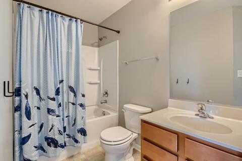 1713 Ruby Dr, Pingree Grove, IL 60140 photo 20