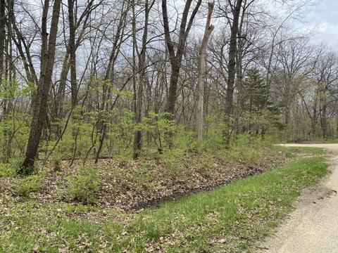 239 Lake Thunderbird Grove Dr, Putnam, IL 61560 photo 1