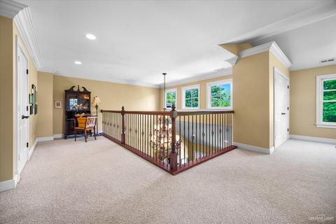938 Willow Ln, Sleepy Hollow, IL 60118 photo 26