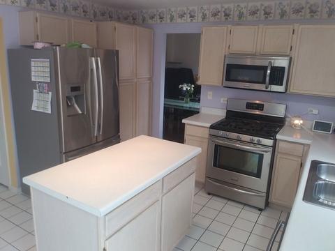 7317 Atkinson Cir, Plainfield, IL 60586 photo 10