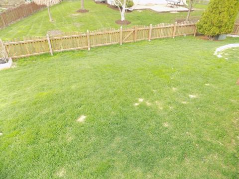 7317 Atkinson Cir, Plainfield, IL 60586 photo 6