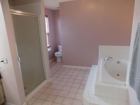 7317 Atkinson Cir, Plainfield, IL 60586 photo 15