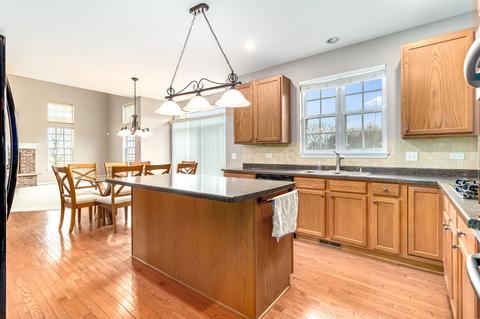 26327 Mapleview Dr, Plainfield, IL 60585 photo 9