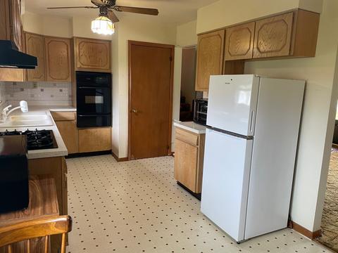 1108 Harmony Ave, Mazon, IL 60444 photo 8