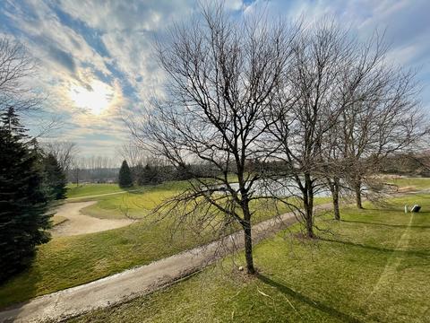 586 Golfers Ln, Bartlett, IL 60103 photo 28