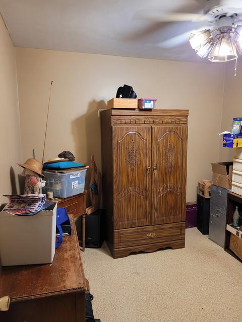 293 E Park St, Argenta, IL 62501 photo 14