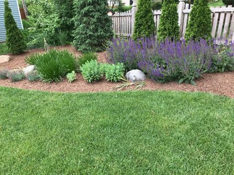 1014 Glencoe St, Wheaton, IL 60187 photo 29