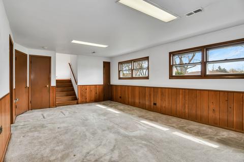 62 Cherry St, Roselle, IL 60172 photo 10