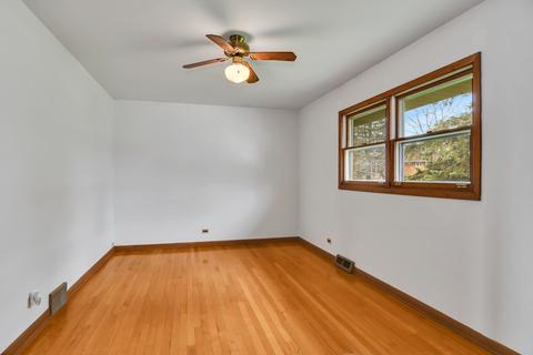 62 Cherry St, Roselle, IL 60172 photo 5