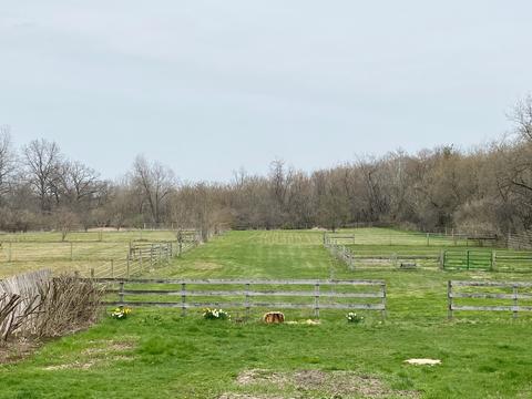 8607 Ferris Rd, Harvard, IL 60033 photo 36