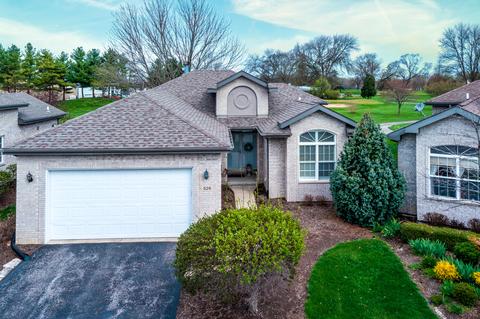 526 Highlington Ct, Beecher, IL 60401 photo 1