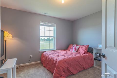 3713 Munson St, Plano, IL 60545 photo 24