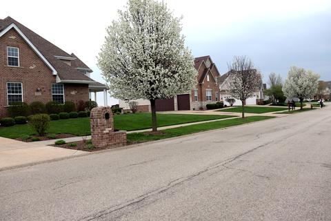 12506 S Shenandoah Trl, Plainfield, IL 60585 photo 18