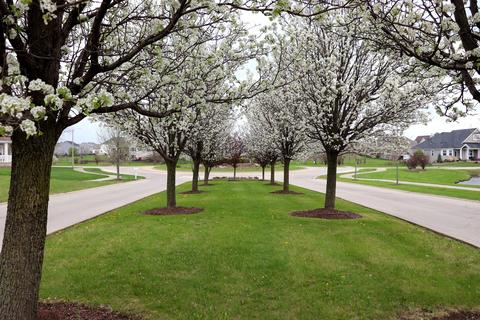 12506 S Shenandoah Trl, Plainfield, IL 60585 photo 14