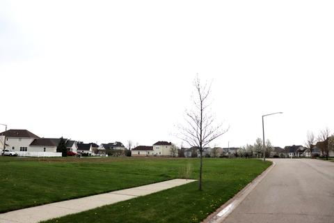 12506 S Shenandoah Trl, Plainfield, IL 60585 photo 3