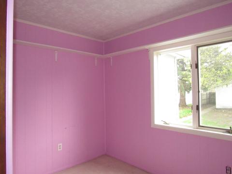 213 E South St, Dwight, IL 60420 photo 11
