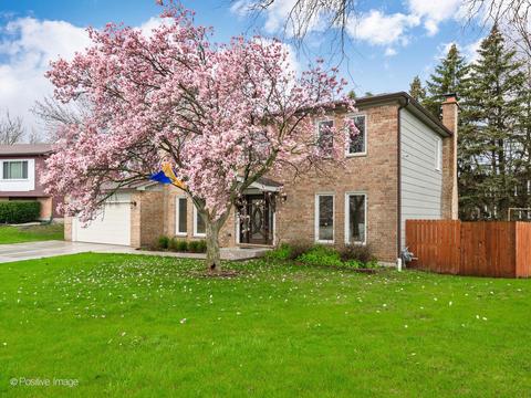407 Shawn Ct, Wheeling, IL 60090 photo 2