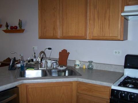 533 Sandy Ct, Harvard, IL 60033 photo 9