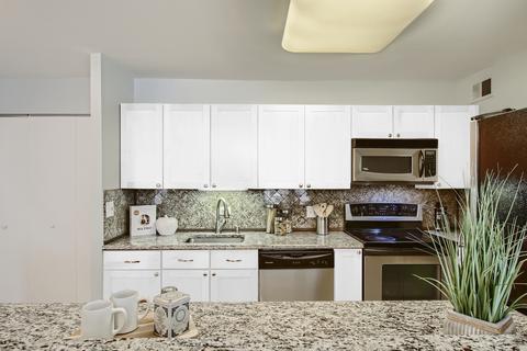 222 E Pearson St #1908, Chicago, IL 60611 photo 4