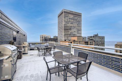 222 E Pearson St #1908, Chicago, IL 60611 photo 21