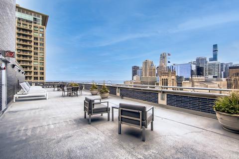 222 E Pearson St #1908, Chicago, IL 60611 photo 23