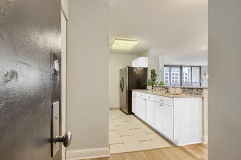 222 E Pearson St #1908, Chicago, IL 60611 photo 5