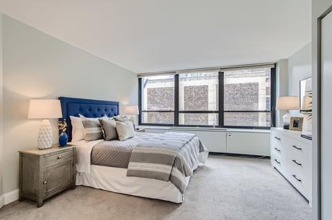 222 E Pearson St #1908, Chicago, IL 60611 photo 10