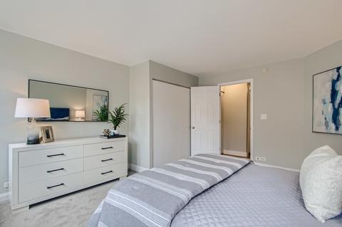 222 E Pearson St #1908, Chicago, IL 60611 photo 11