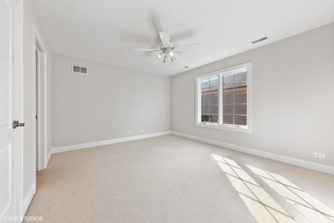 446 W 3rd St, Elmhurst, IL 60126 photo 19