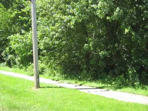 Lot B N School Street, Braidwood, IL 60408