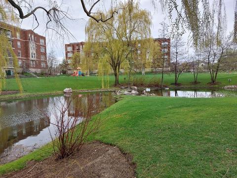 715 Astor Ln #208, Wheeling, IL 60090 photo 13