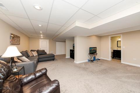 23636 Denise St, Plainfield, IL 60585 photo 27