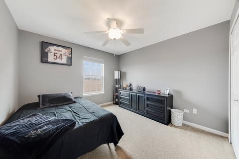 23636 Denise St, Plainfield, IL 60585 photo 18