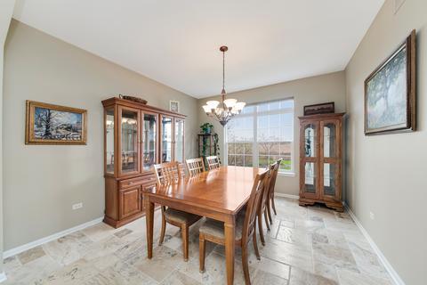 23636 Denise St, Plainfield, IL 60585 photo 8