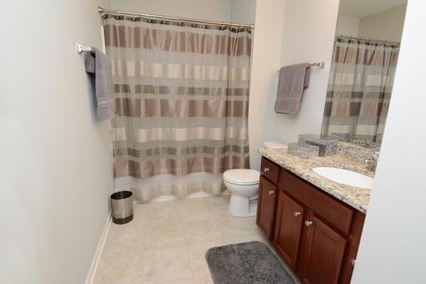 344 Snow Drop Ln, Elgin, IL 60124 photo 18