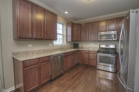344 Snow Drop Ln, Elgin, IL 60124 photo 6