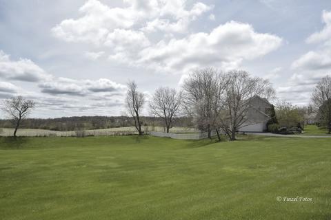 6507 Burning Tree Cir, Mchenry, IL 60050 photo 23