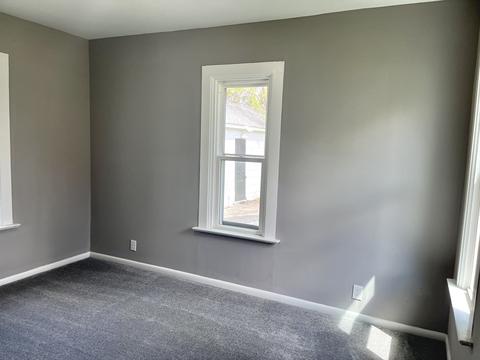 409 E North St, Peotone, IL 60468 photo 11