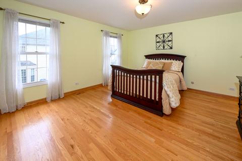 1370 E Thacker St, Schaumburg, IL 60173 photo 23