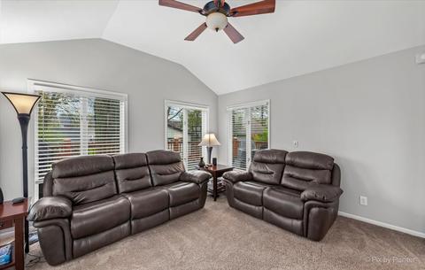 407 E Indiana St, Wheaton, IL 60187 photo 13